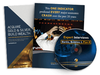 Investor Kit, which includes two PDFs and a DVD.